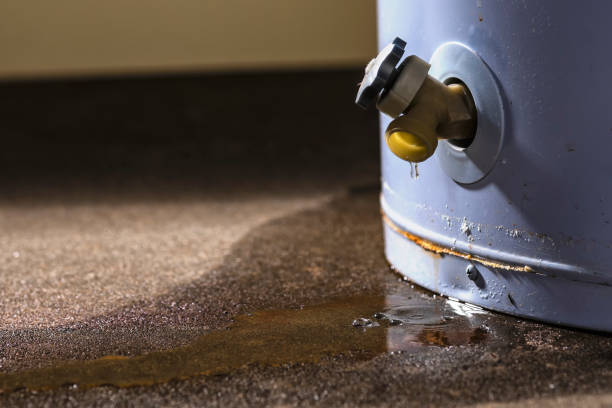 Best Carpet water damage restoration  in Hilliard, OH