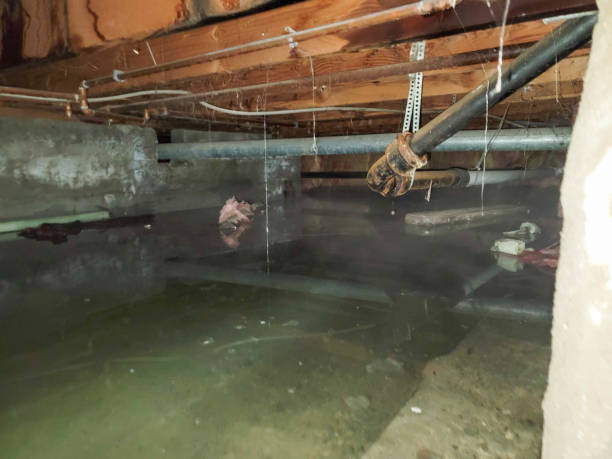 Best Water damage cleanup near me  in Hilliard, OH
