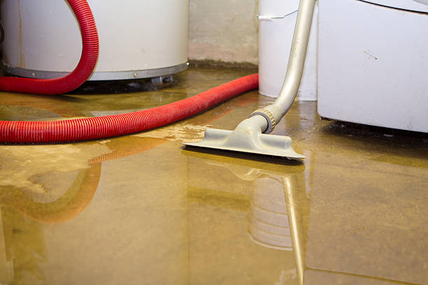 Best Mold removal after water damage  in Hilliard, OH