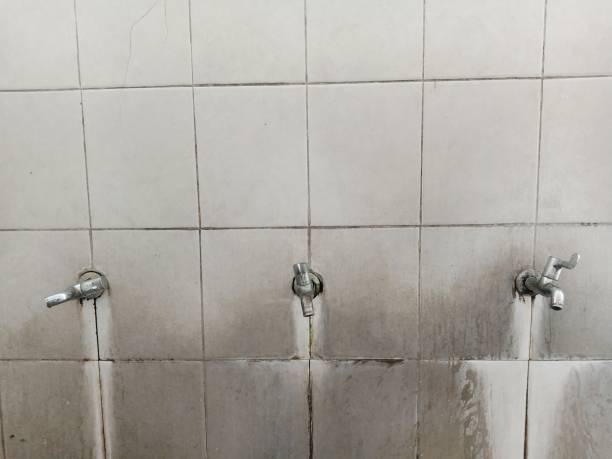 Best 24/7 water damage repair  in Hilliard, OH