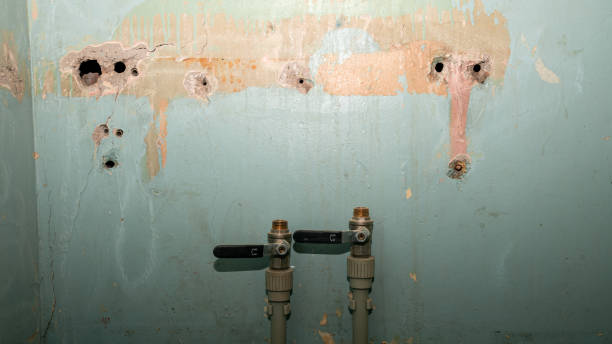 Best Flood restoration services  in Hilliard, OH
