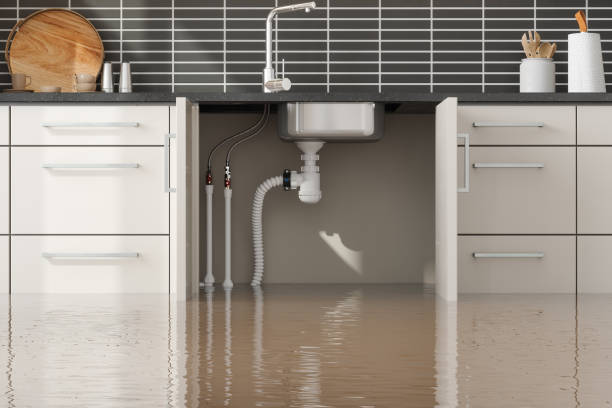 Carpet water damage restoration in Hilliard, OH