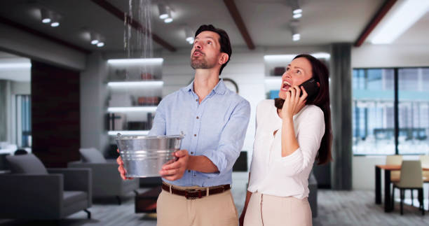Best Ceiling water damage repair  in Hilliard, OH