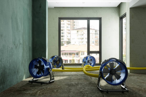 Best Water damage restoration near me  in Hilliard, OH