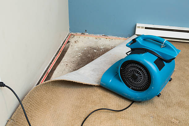  Hilliard, OH Water damage restoration Pros